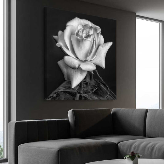 Floral print of Monochrome Rose on a stretched canvas displayed from an angle in a room