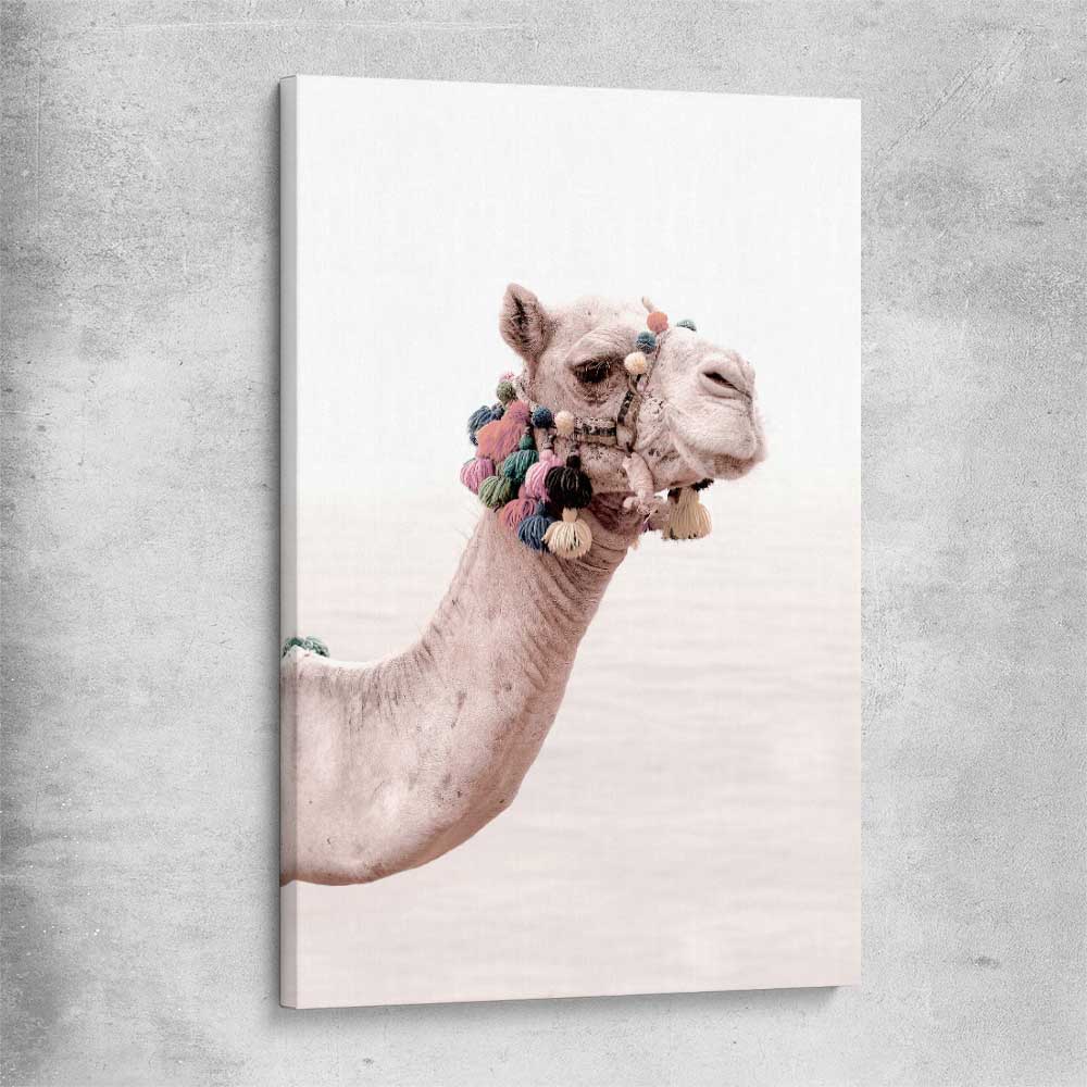Animal wall art and canvas prints of Bohemian Camel on a stretched canvas