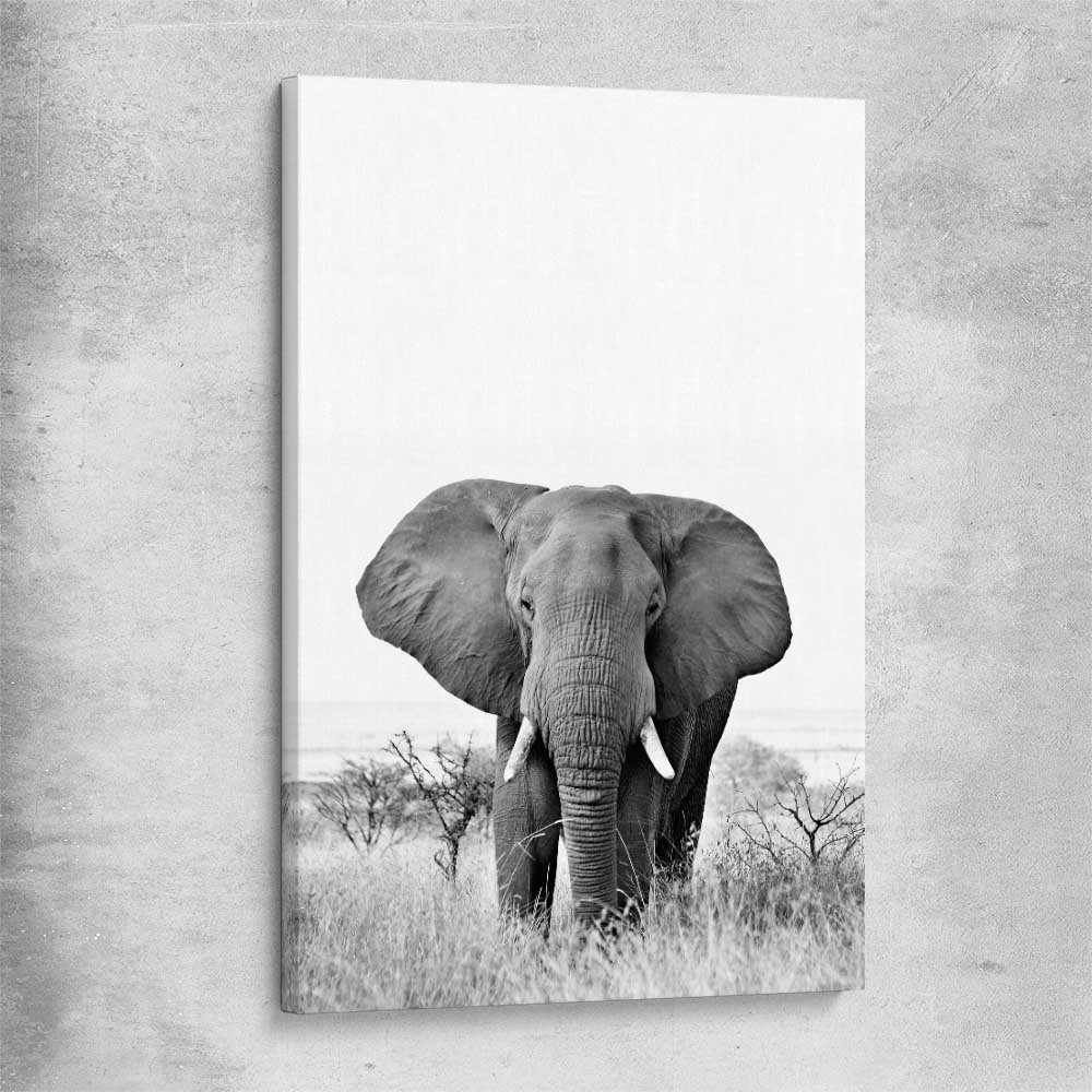 Animal wall art and canvas prints of Elephant Gaze on a stretched canvas