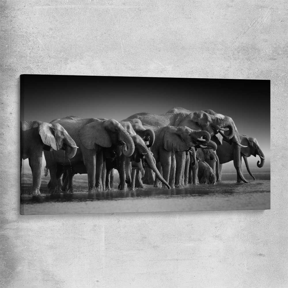Animal wall art and canvas prints of Elephant Herd on a stretched canvas
