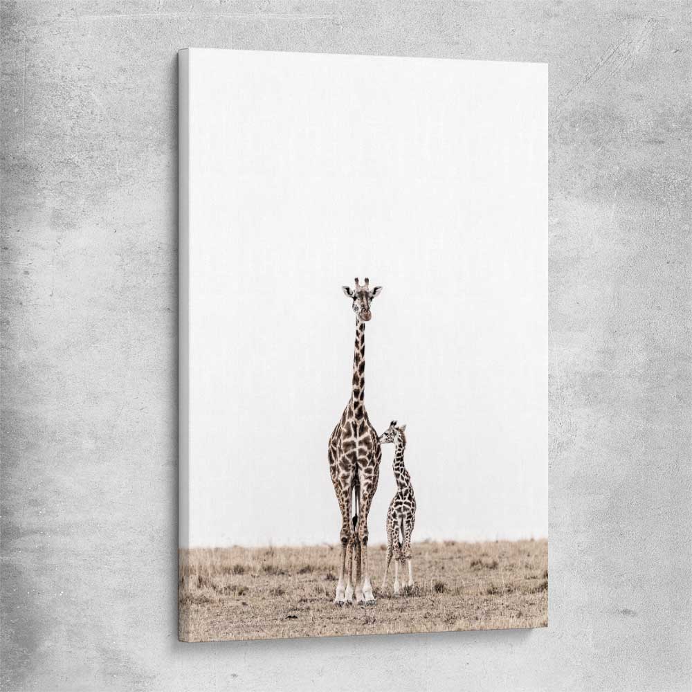 Animal wall art and canvas prints of Giraffe Affection on a stretched canvas