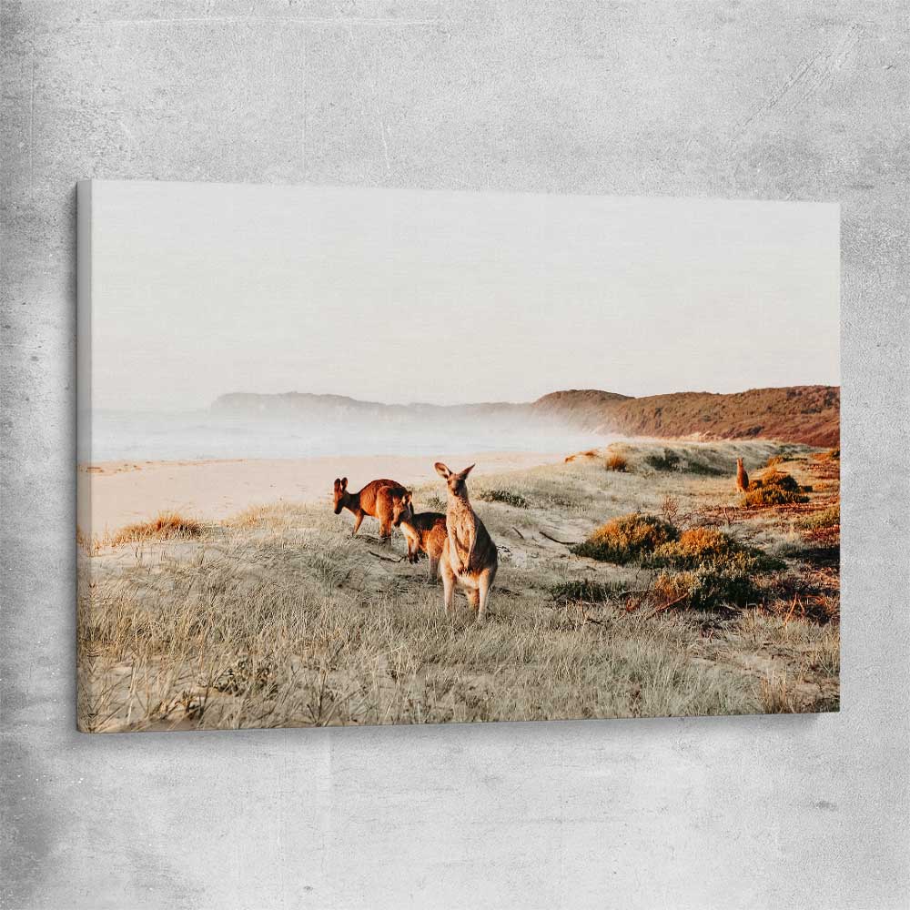 Animal wall art and canvas prints of Grazing Kangaroos on a stretched canvas