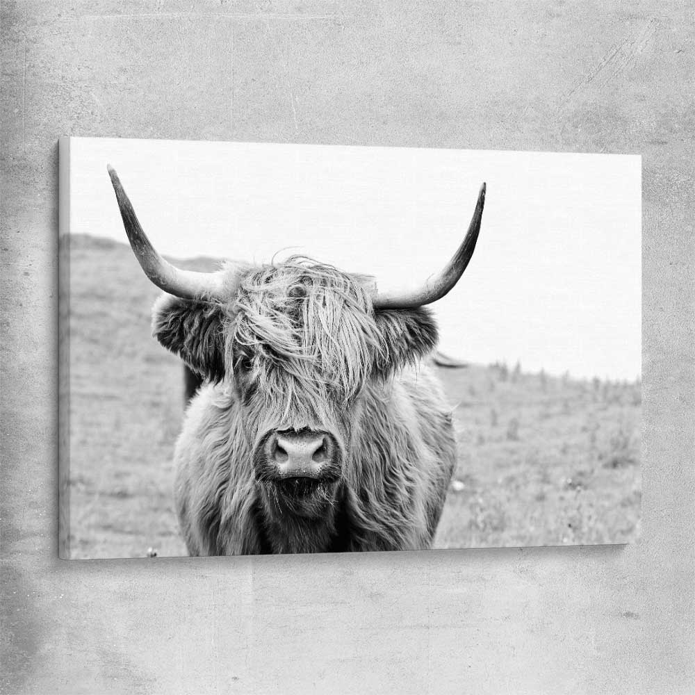 Animal wall art and canvas prints of Highland Hills on a stretched canvas