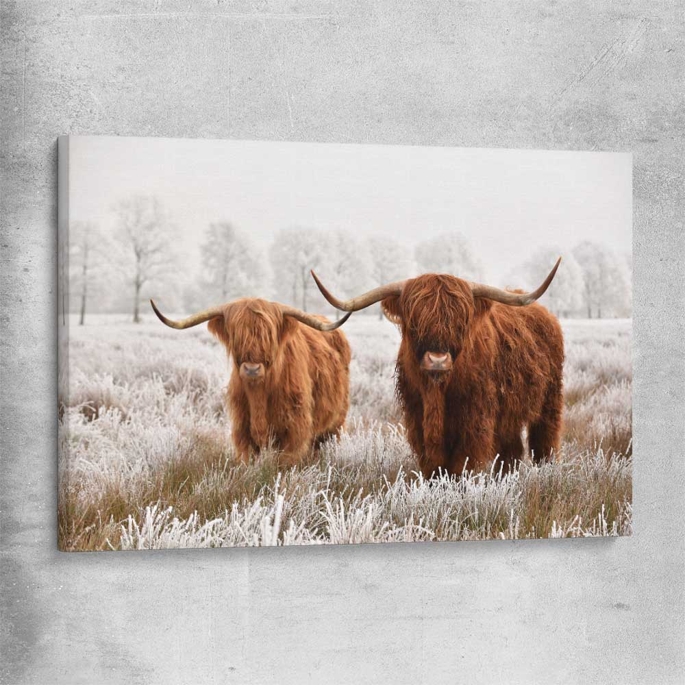 Animal wall art and canvas prints of Highland Pack on a stretched canvas
