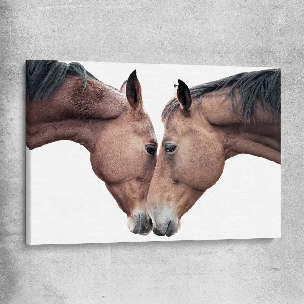 Animal wall art and canvas prints of Horse Affection on a stretched canvas