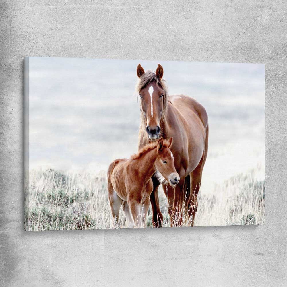 Animal wall art and canvas prints of Horse Love on a stretched canvas