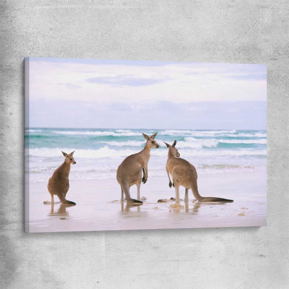 Animal wall art and canvas prints of Kangaroo Couple on a stretched canvas