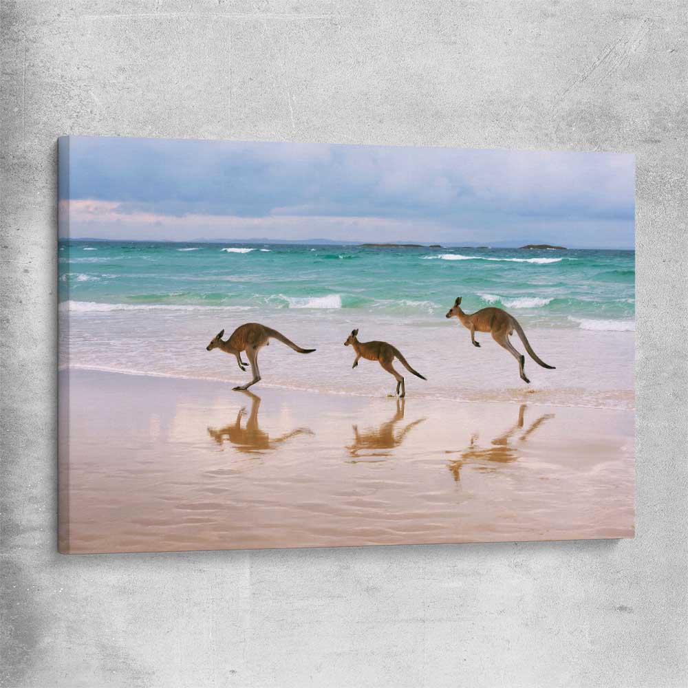 Animal wall art and canvas prints of Kangaroo Family on a stretched canvas