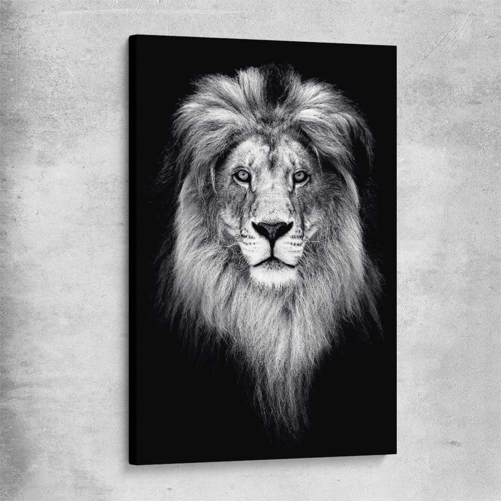 Animal wall art and canvas prints of Lion Gaze on a stretched canvas