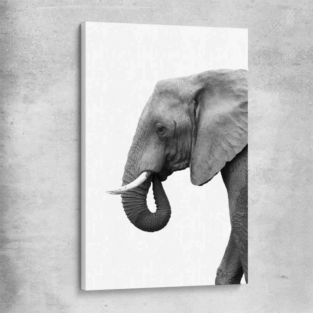 Animal wall art and canvas prints of Lone Elephant on a stretched canvas