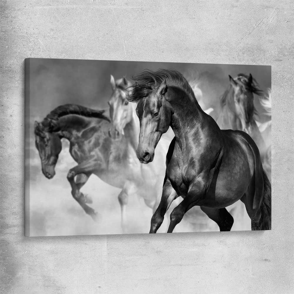 Animal wall art and canvas prints of Majestic Horse on a stretched canvas