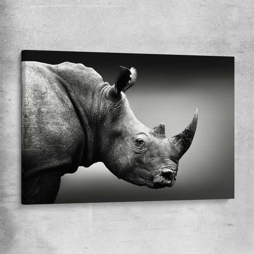 Animal wall art and canvas prints of Monochrome Rhinoceros on a stretched canvas