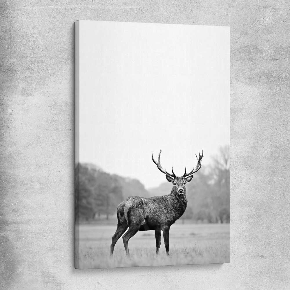 Animal wall art and canvas prints of Roaming Deer on a stretched canvas