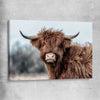 Animal wall art and canvas prints of Scottish Highland on a stretched canvas