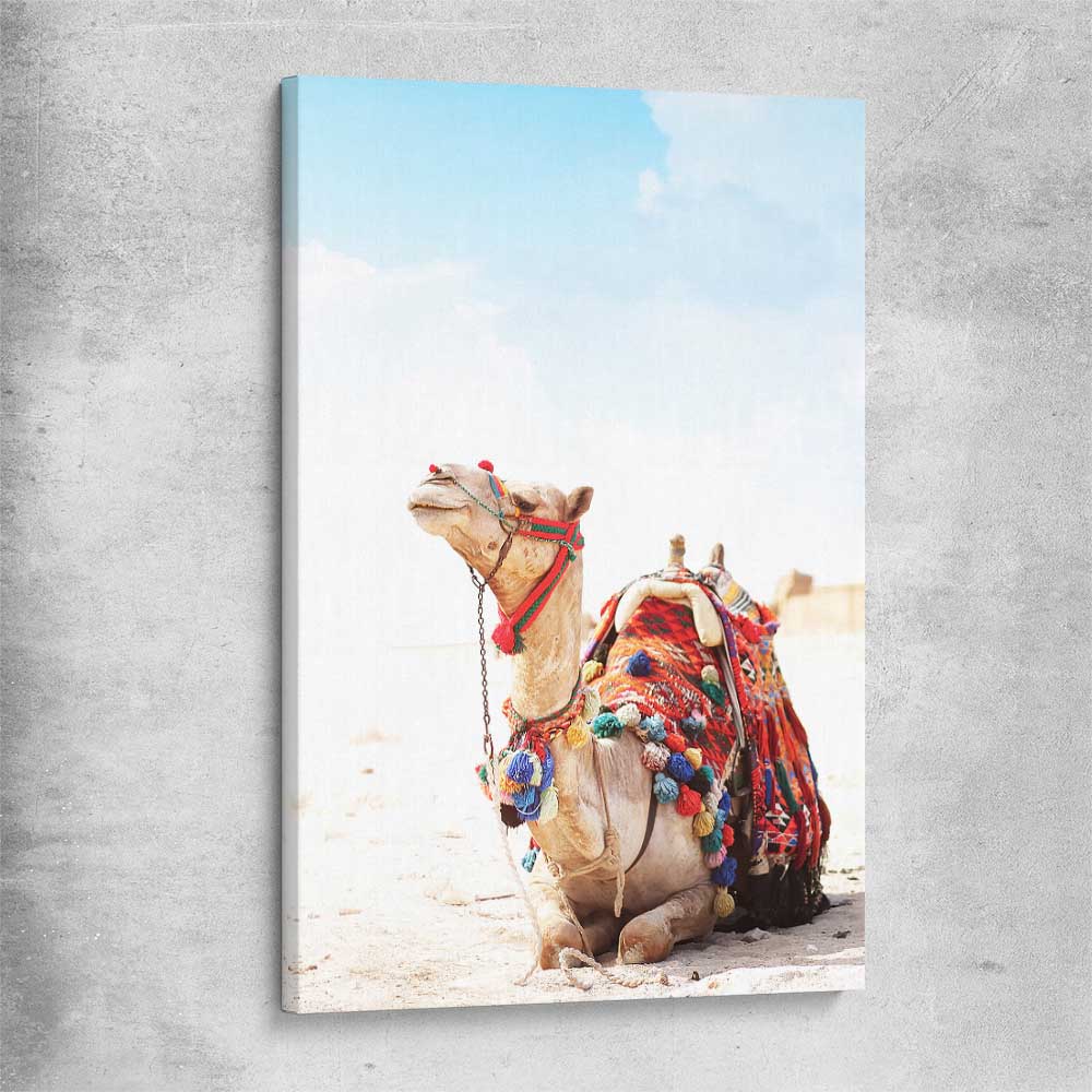 Animal wall art and canvas prints of Vibrant Camel on a stretched canvas