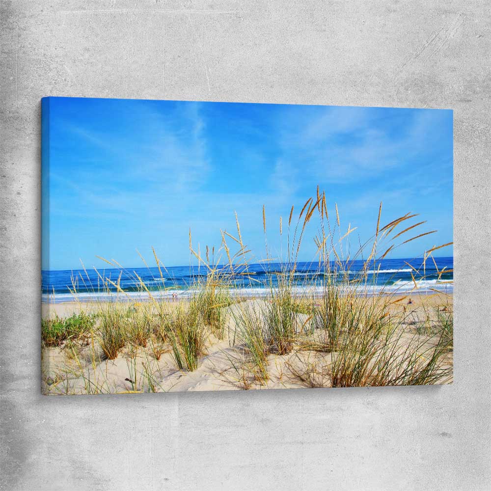 Beach and coastal wall art print of Algarve Dune Flora on a stretched canvas