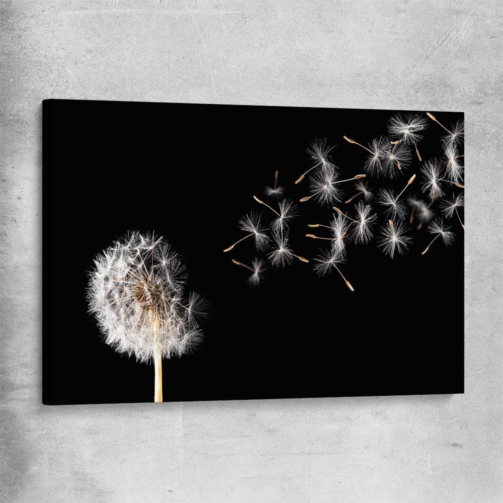 Floral print of Blowing Dandelion on a stretched canvas