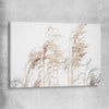 Floral print of Blowing Pampas on a stretched canvas