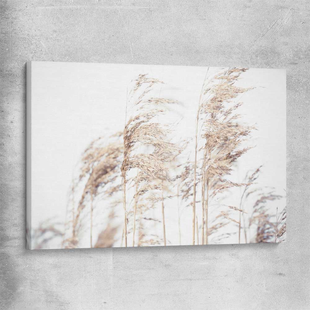 Floral print of Blowing Pampas on a stretched canvas