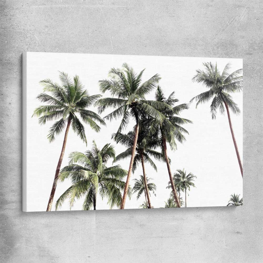 Floral print of Bright Palm Skies on a stretched canvas