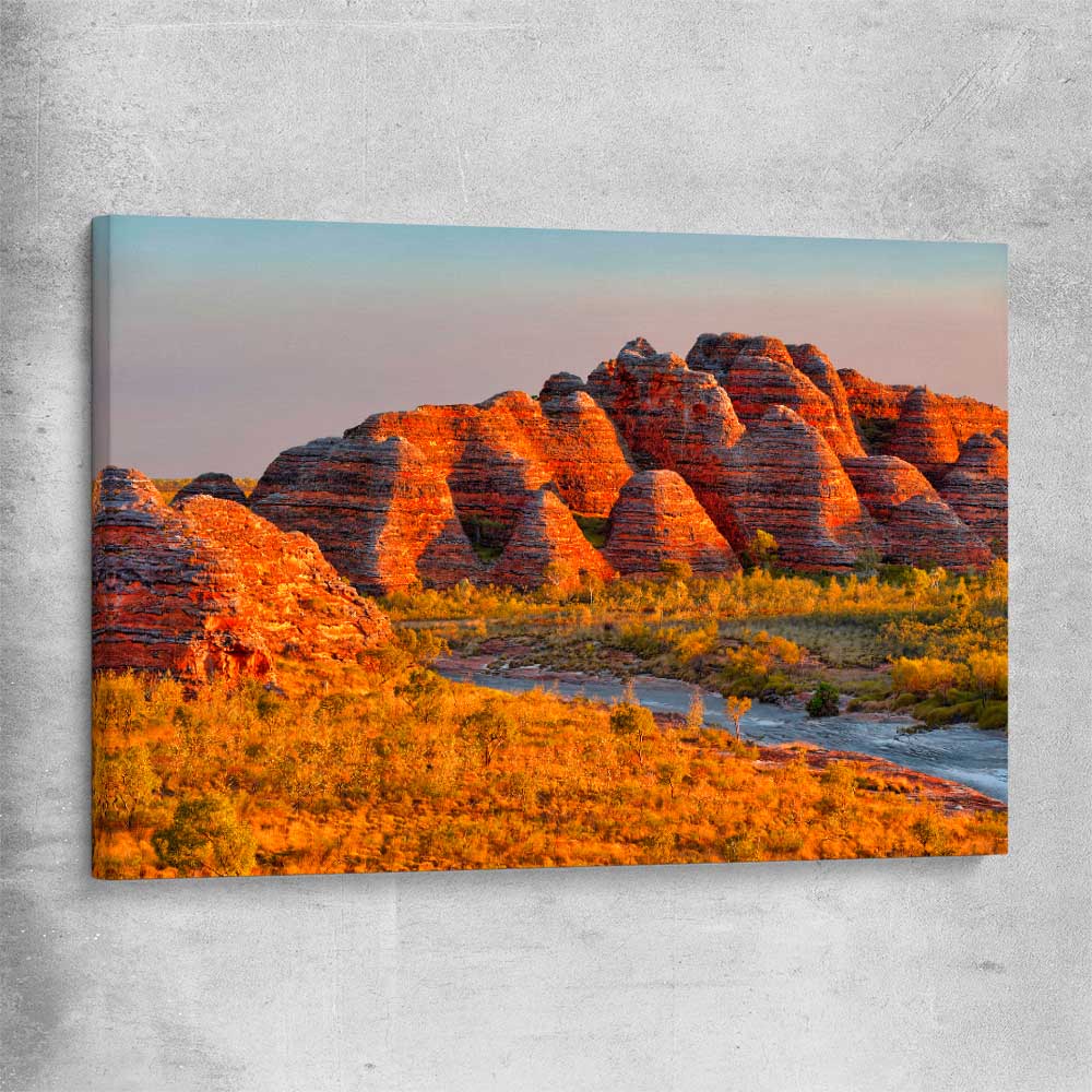 Floral print of Bungle Bungles on a stretched canvas