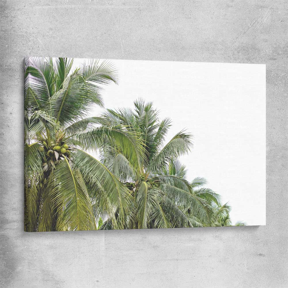 Floral print of Coconut Palms on a stretched canvas