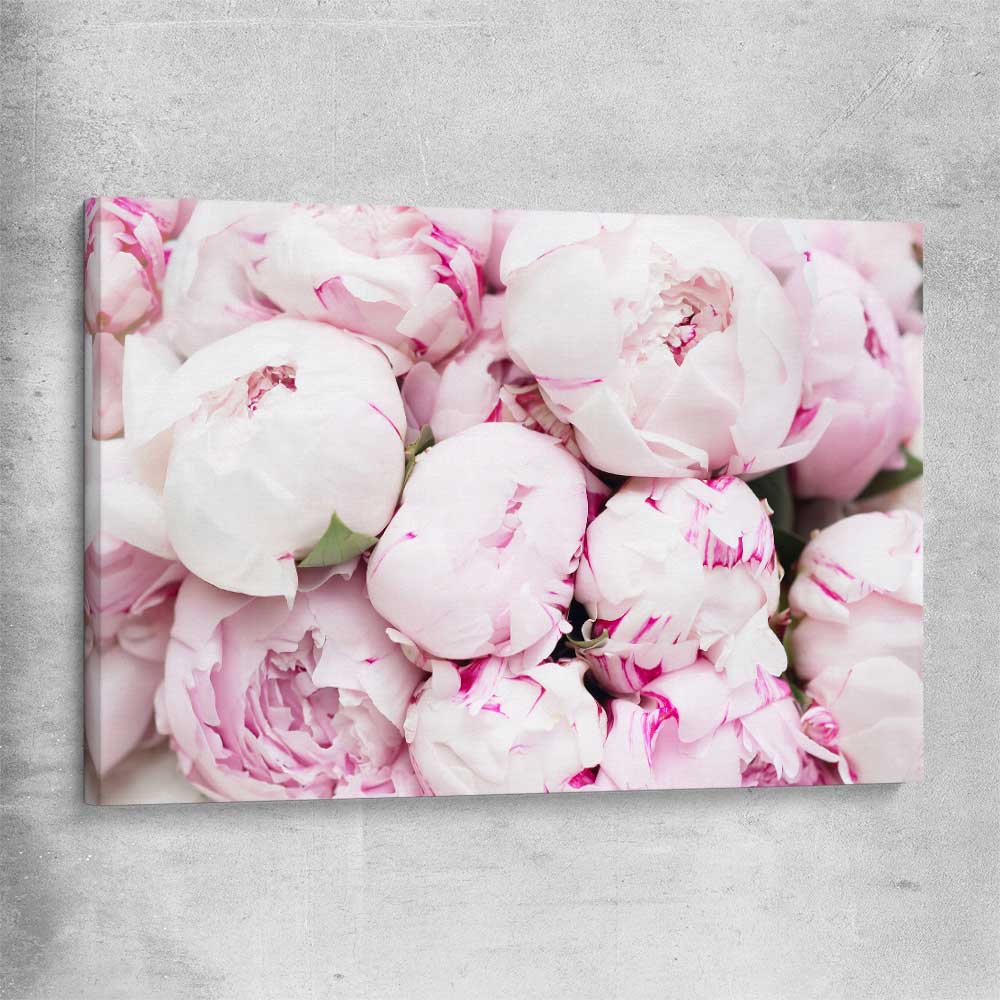 Floral print of Delicate Peonies on a stretched canvas