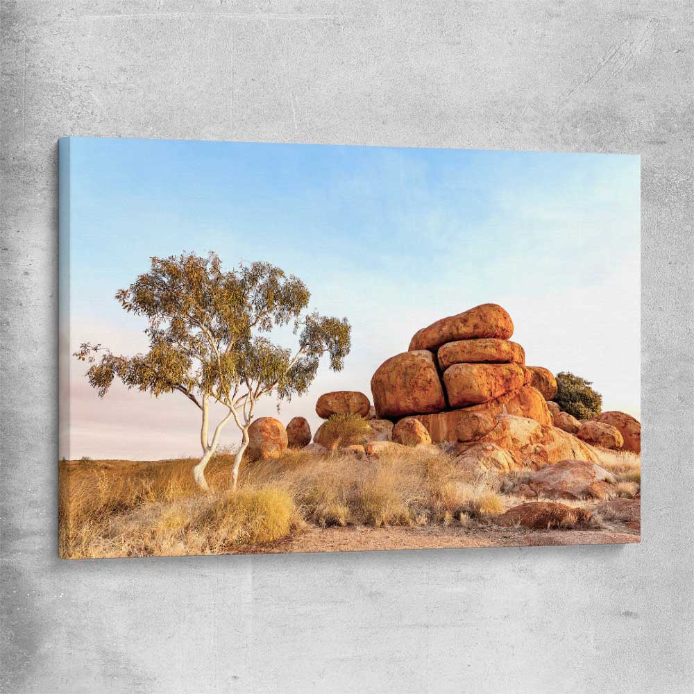 Floral print of Devils Marbles on a stretched canvas