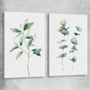 Floral print of Eucalyptus Pair One on a stretched canvas