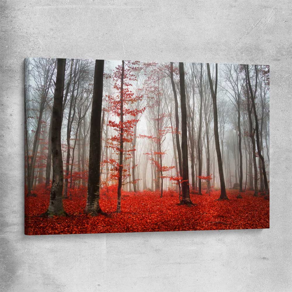 Floral print of Foggy Autumn Forest on a stretched canvas