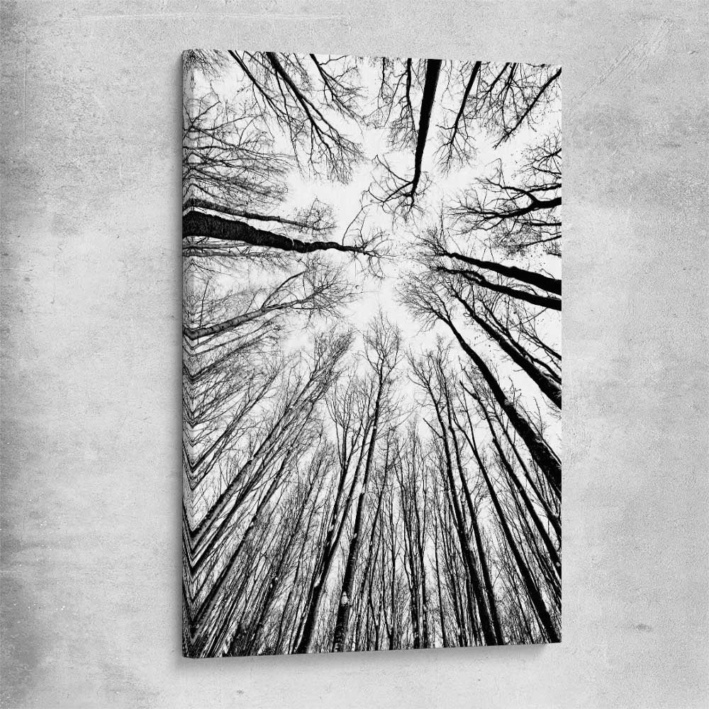 Floral print of Forest Sky on a stretched canvas