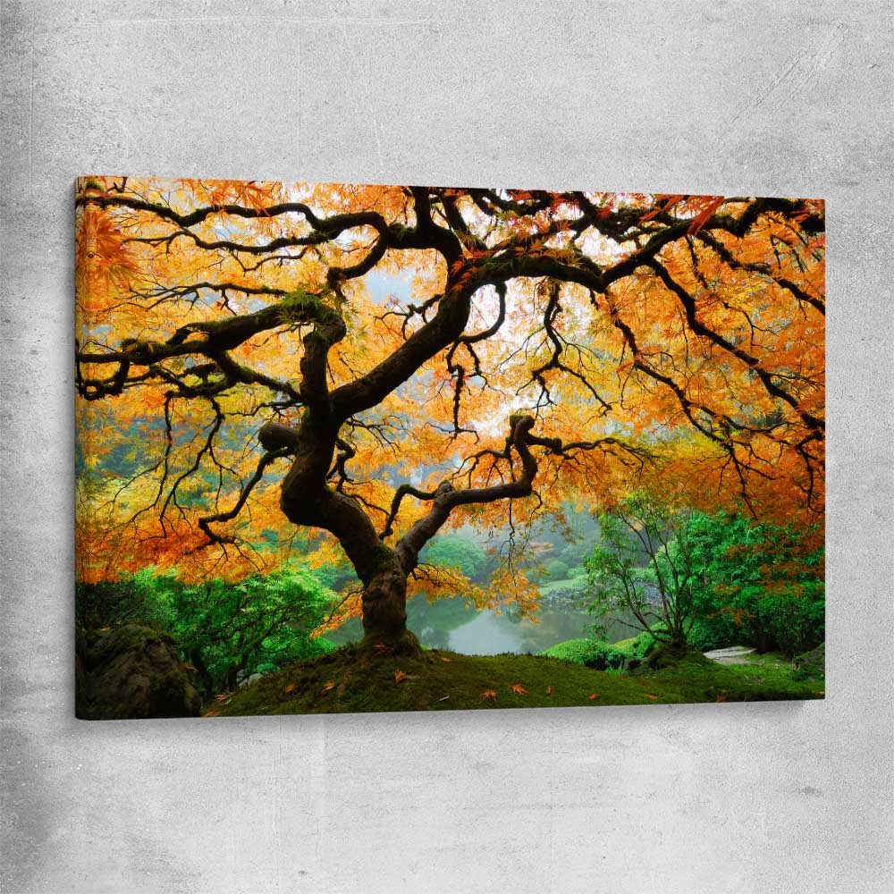 Floral print of Japanese Maple Tree on a stretched canvas