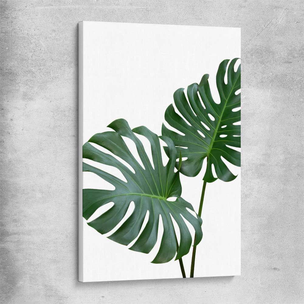 Floral print of Monstera Leaf One on a stretched canvas