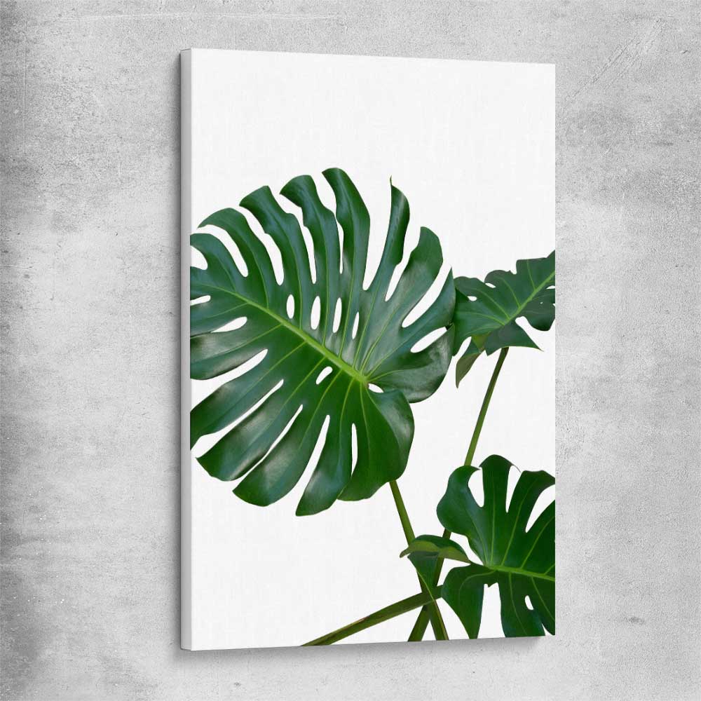Floral print of Monstera Leaf Two on a stretched canvas