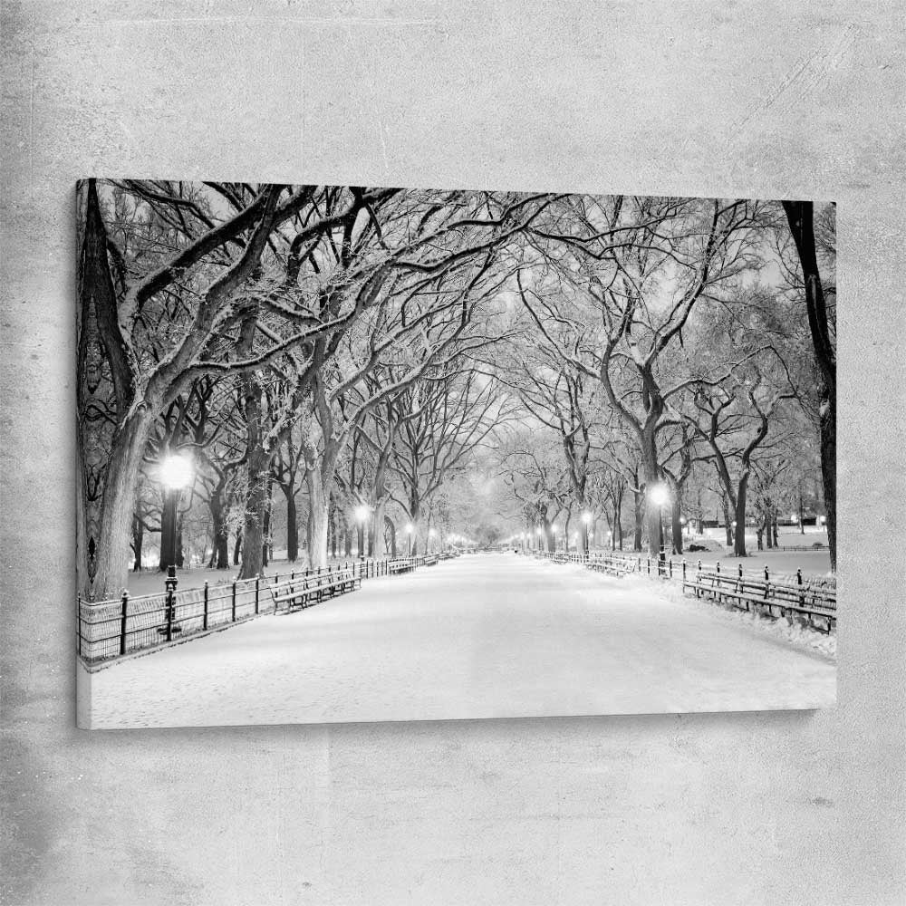 Floral print of Snowy Central Park on a stretched canvas