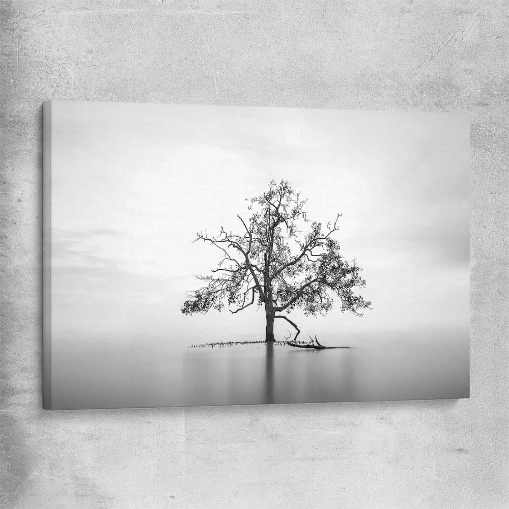 Floral print of Sole Mangrove on a stretched canvas