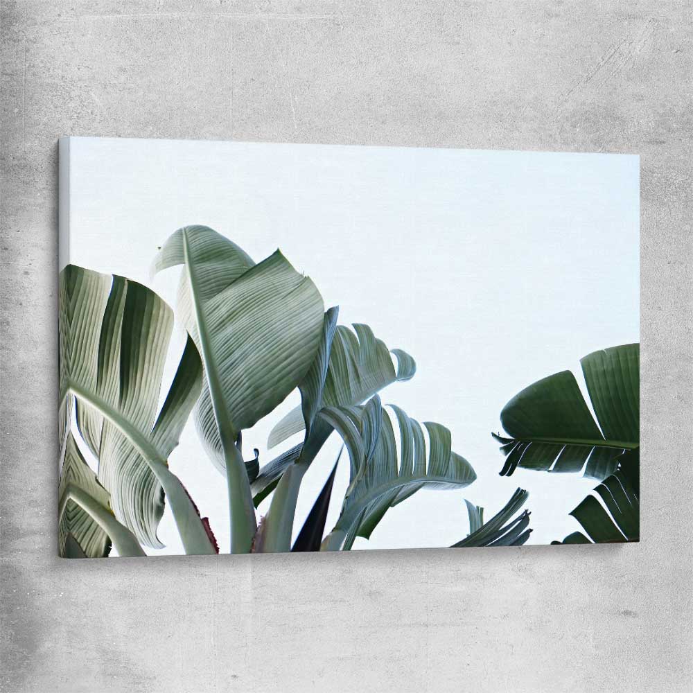 Floral print of Tropical Banana Palm on a stretched canvas