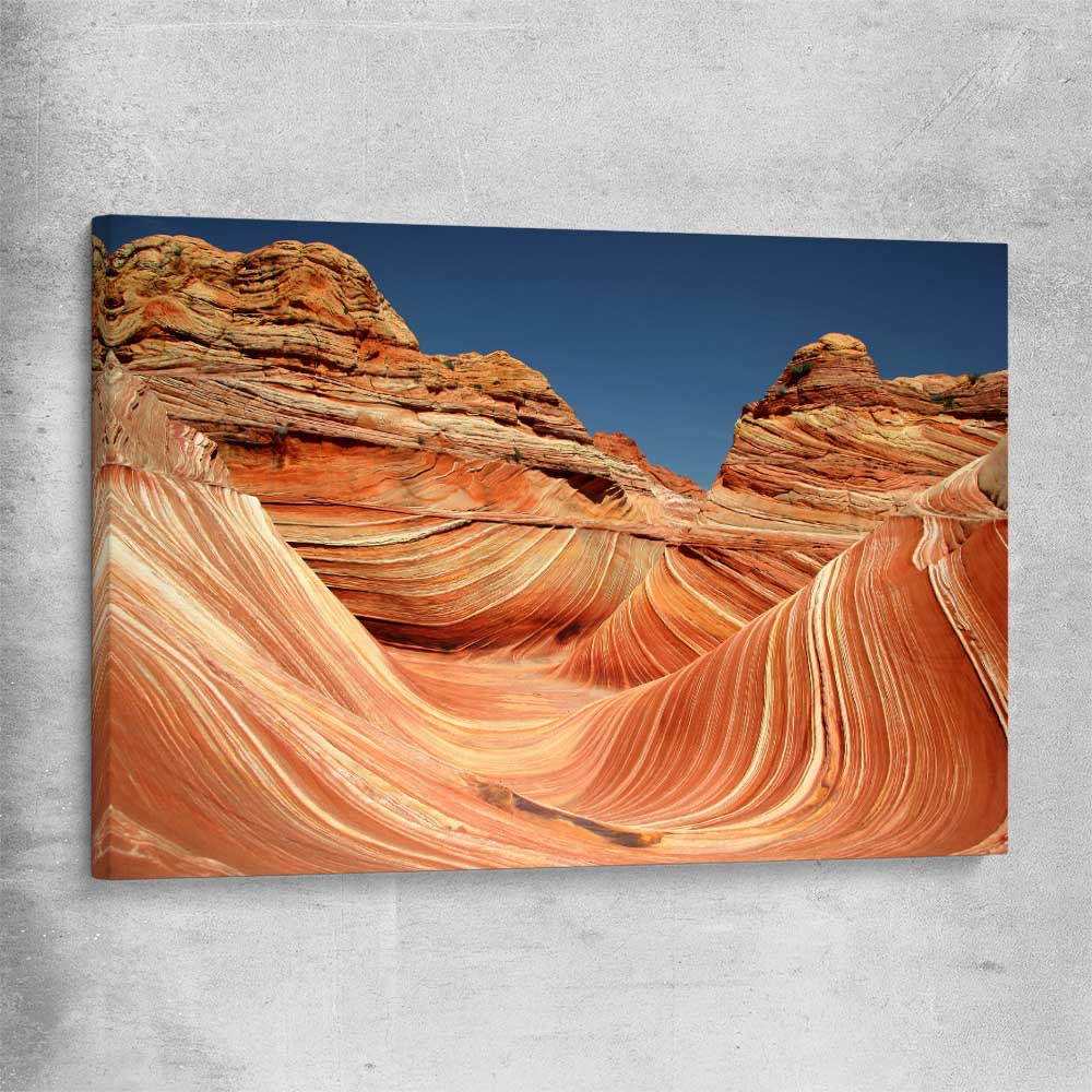 Floral print of Vermilion Cliffs on a stretched canvas