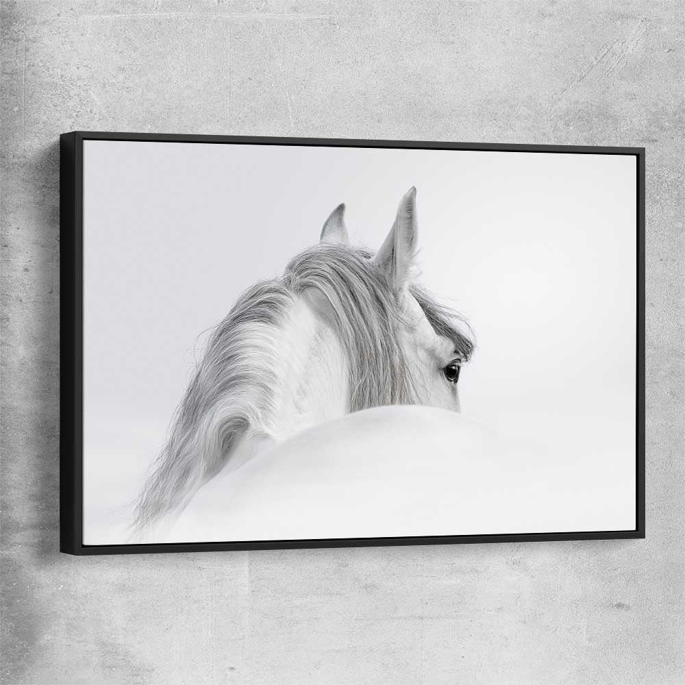Animal wall art and canvas prints of Andalusian Horse with black framed canvas