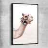 Animal wall art and canvas prints of Bohemian Camel with black framed canvas