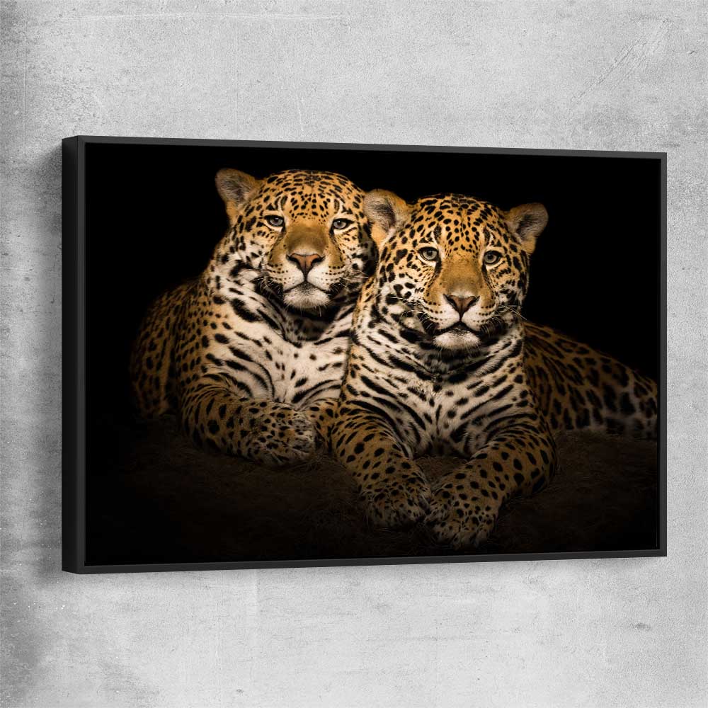 Animal wall art and canvas prints of Calm Jaguar Couple with black framed canvas