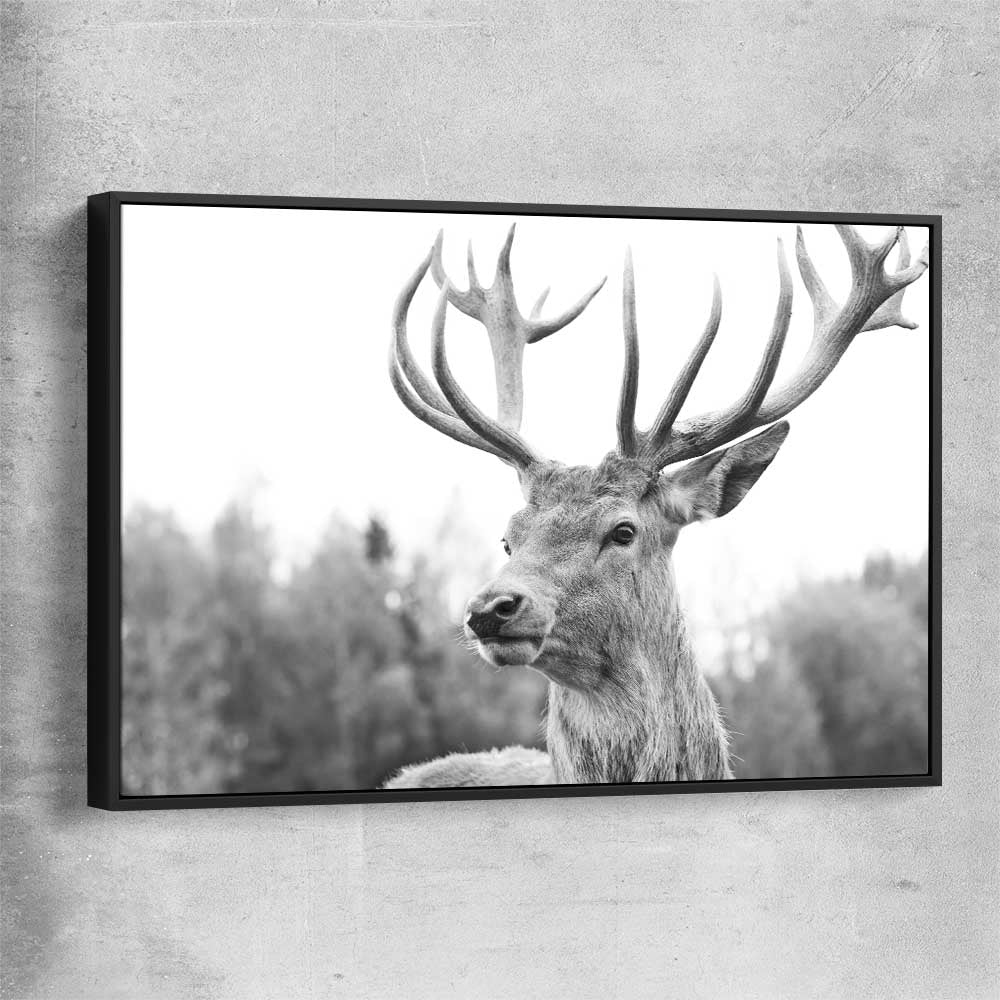 Animal wall art and canvas prints of Deer Focus with black framed canvas