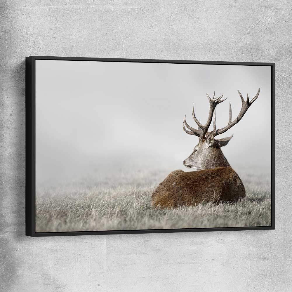 Animal wall art and canvas prints of Deer Solitude with black framed canvas