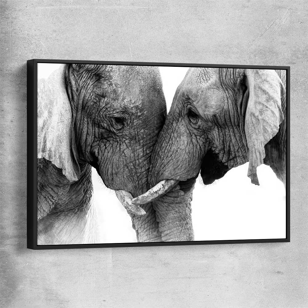 Animal wall art and canvas prints of Elephant Love with black framed canvas