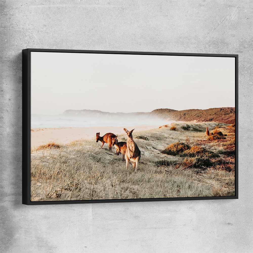 Animal wall art and canvas prints of Grazing Kangaroos with black framed canvas