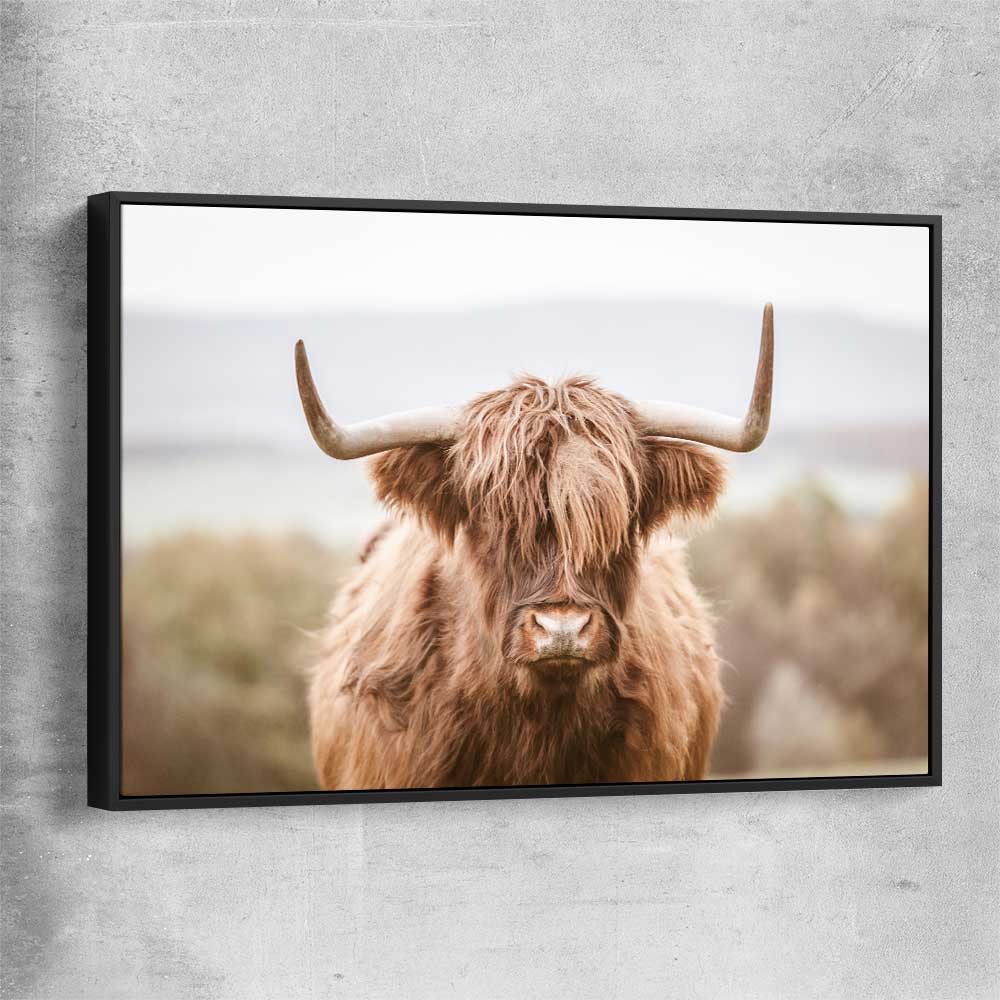 Animal wall art and canvas prints of Highland Cow with black framed canvas