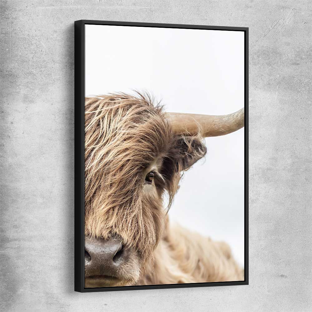 Animal wall art and canvas prints of Highland Graze with black framed canvas