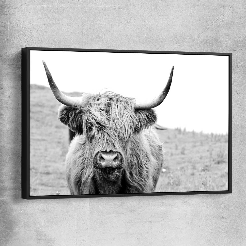 Animal wall art and canvas prints of Highland Hills with black framed canvas