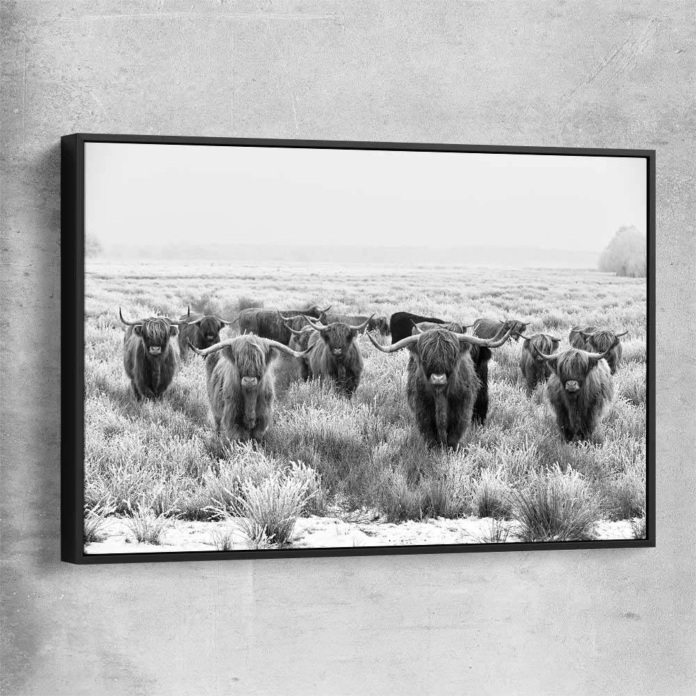 Animal wall art and canvas prints of Highland Monochrome with black framed canvas