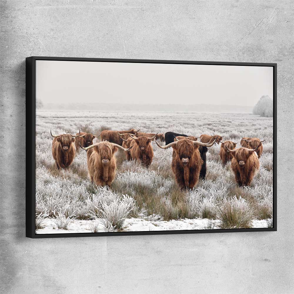 Animal wall art and canvas prints of Highland Ranges with black framed canvas